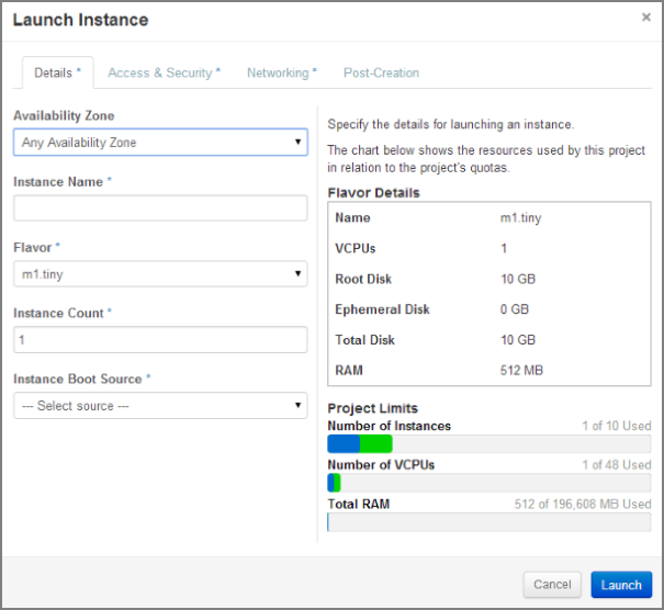 Launch Instance Details