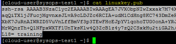 Copy Public Key