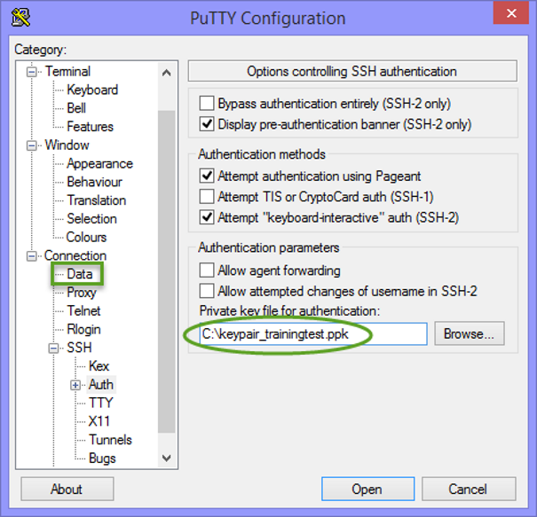 PuTTY configuration Connection Data